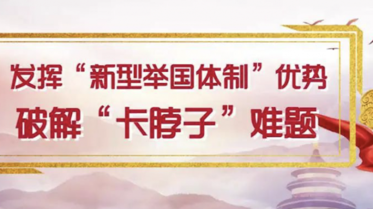 新型举国体制